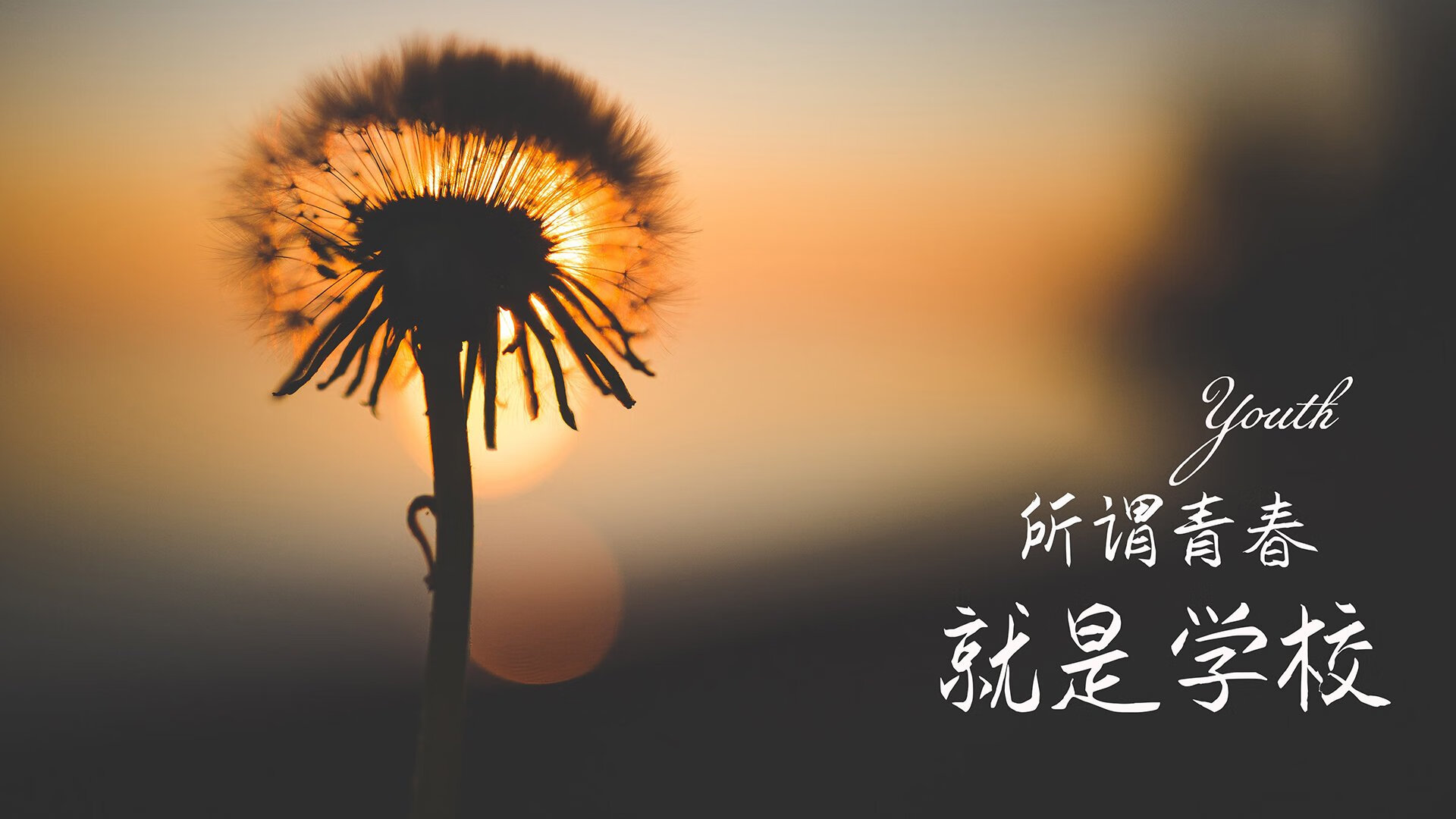 史上最激烈“冠军夜”全场回顾，感受巅峰对决！，冠军之夜活动地址