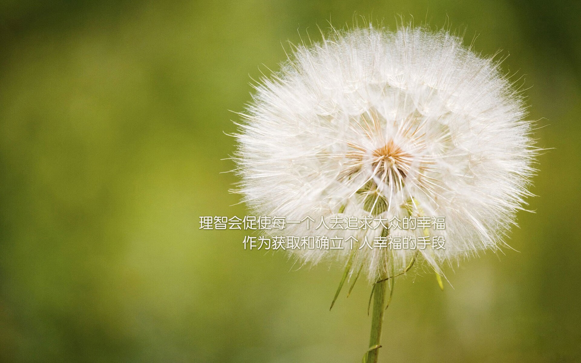 乐鱼电竞在线平台-足球公益助学平台推动乡村教育均衡，足球公益事业