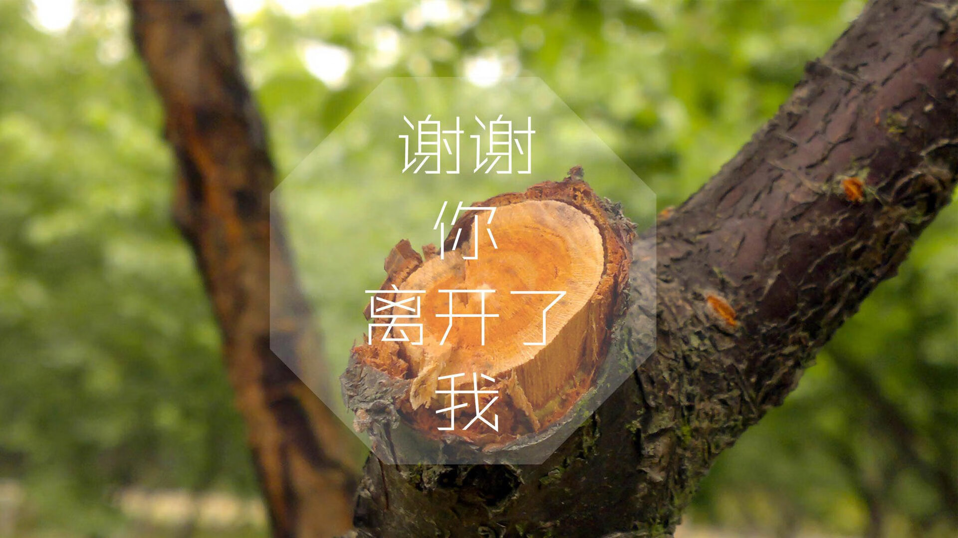 篮球巨星约翰逊将加盟人，具备突破篮坛潜质，nba约翰逊