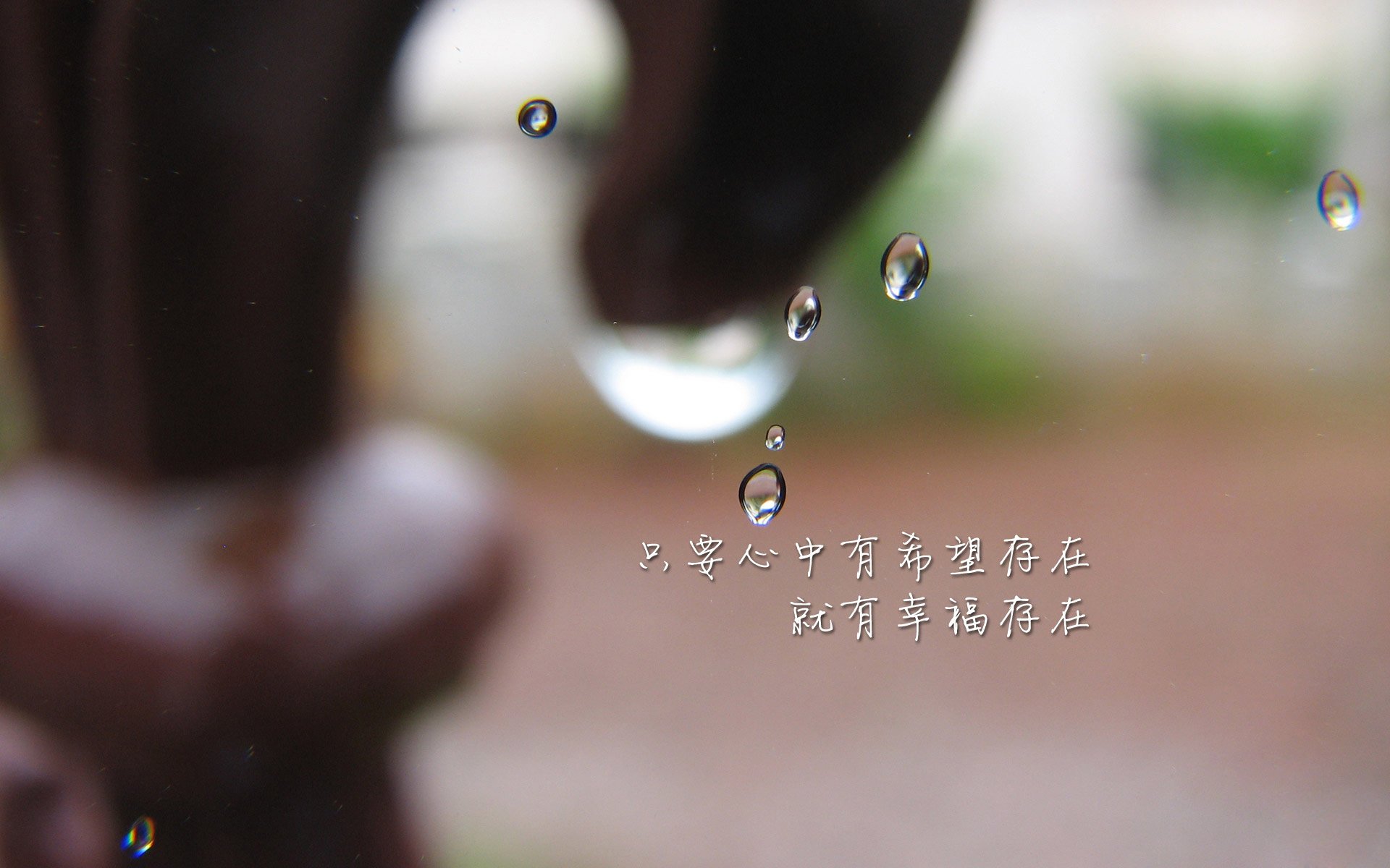 乐鱼体育APP官方下载-西班牙人队重返西甲联赛，西班牙人提前4轮回归西甲