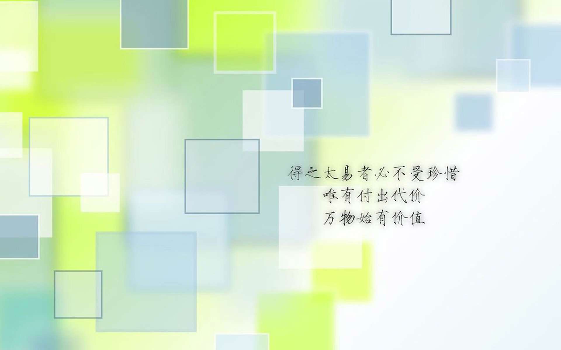 “拳击狂潮席卷四川，谁能脱颖而出？”
