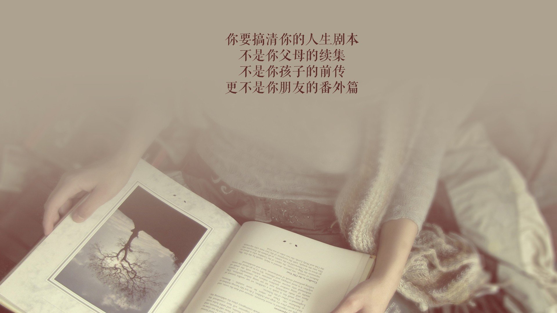 职业球员顶薪待遇是否合理反映能力差异，足球顶薪球员
